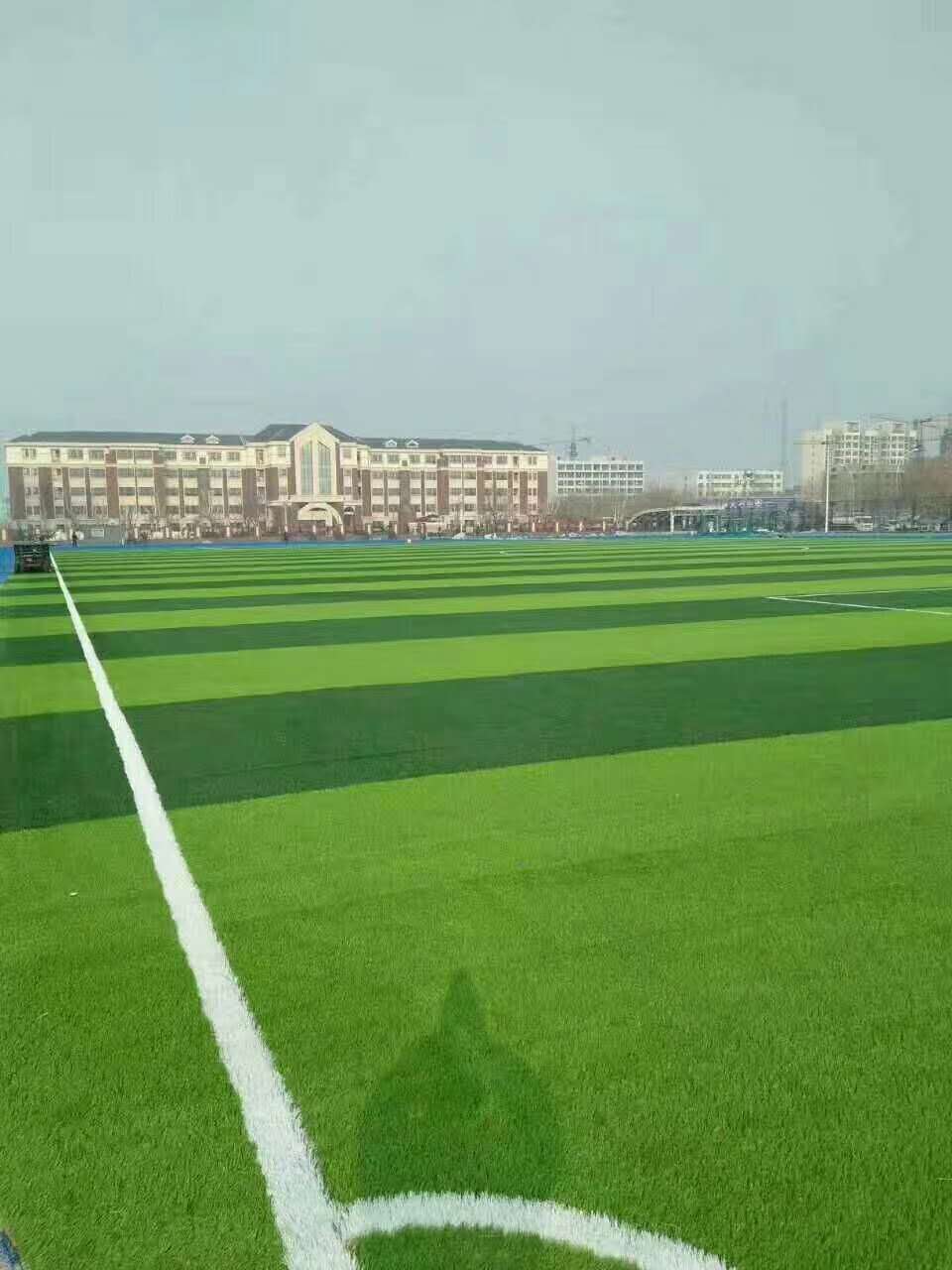 贺州市混合型塑胶跑道仿真草坪 - 方案